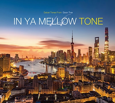 V.A. - IN YA MELLOW TONE 14 - Japanese CD - Music | musicjapanet