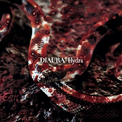 Hydra（通常盤／Ctype） DIAURA